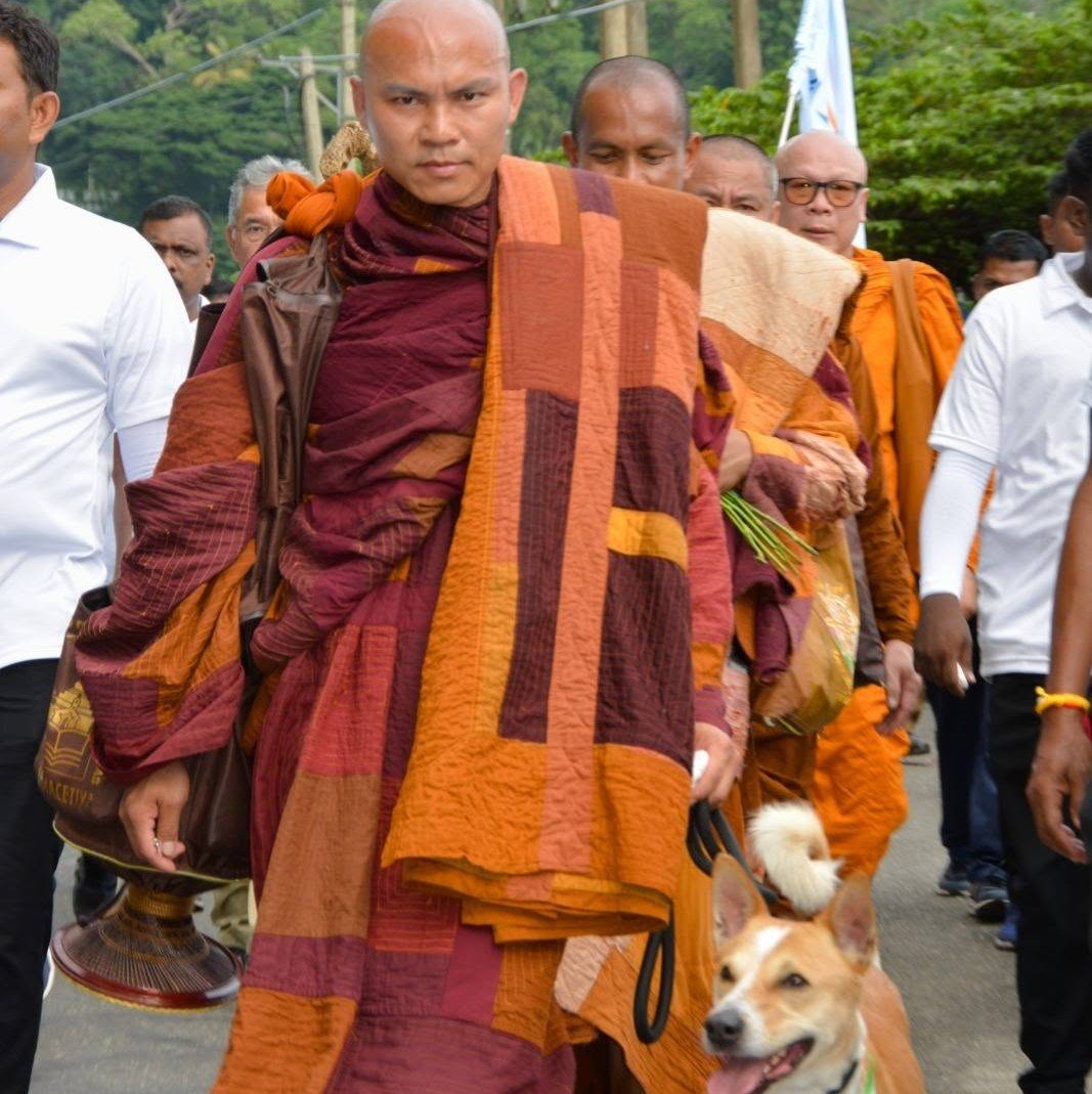 Walk For Peace - 2026